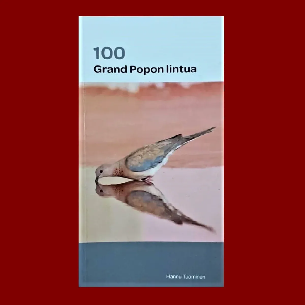 100 Grand Popon lintua – Hannu Tuominen 2019