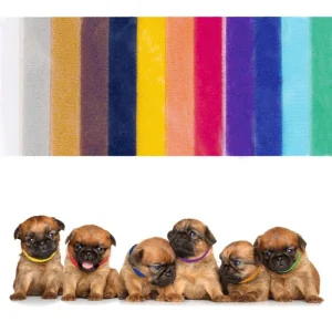 4Pups Pentupannat pentujen tunnistamiseen, 12 kpl / pkt