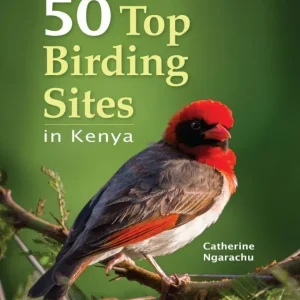 50 Top Birding Sites in Kenya, Ngarachu 2017