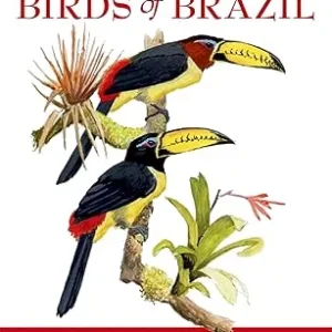 A Field Guide to the Birds of Brazil (Perlo, B. van 2009)