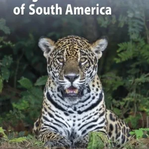A Field Guide to the Larger Mammals of South America – Richard Webb and Jeff Blincow 2024