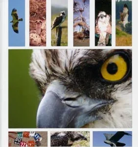 A Life of Ospreys – Dennis, R. 2008