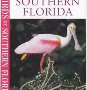 A Photographic Guide to Birds of Southern Florida – Flieg 2001