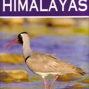 A Photographic Guide to Birds of the Himalayas -Grewal 2013