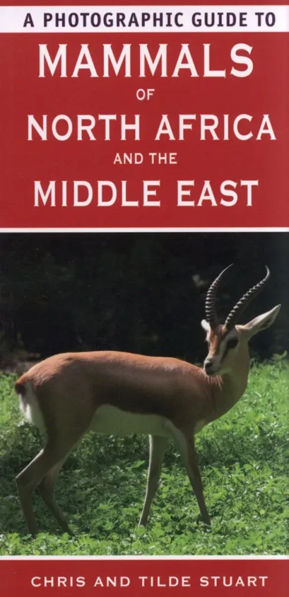 A Photographic Guide to Mammals of North Africa and the Middle East – Stuart,C. 2008
