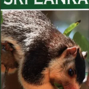 A Photographic Guide to Mammals of Sri Lanka – Wijeyeratne 2008