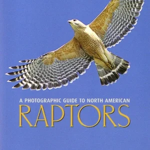 A Photographic Guide to North American Raptors (Wheeler, B.K. ym. 2003)