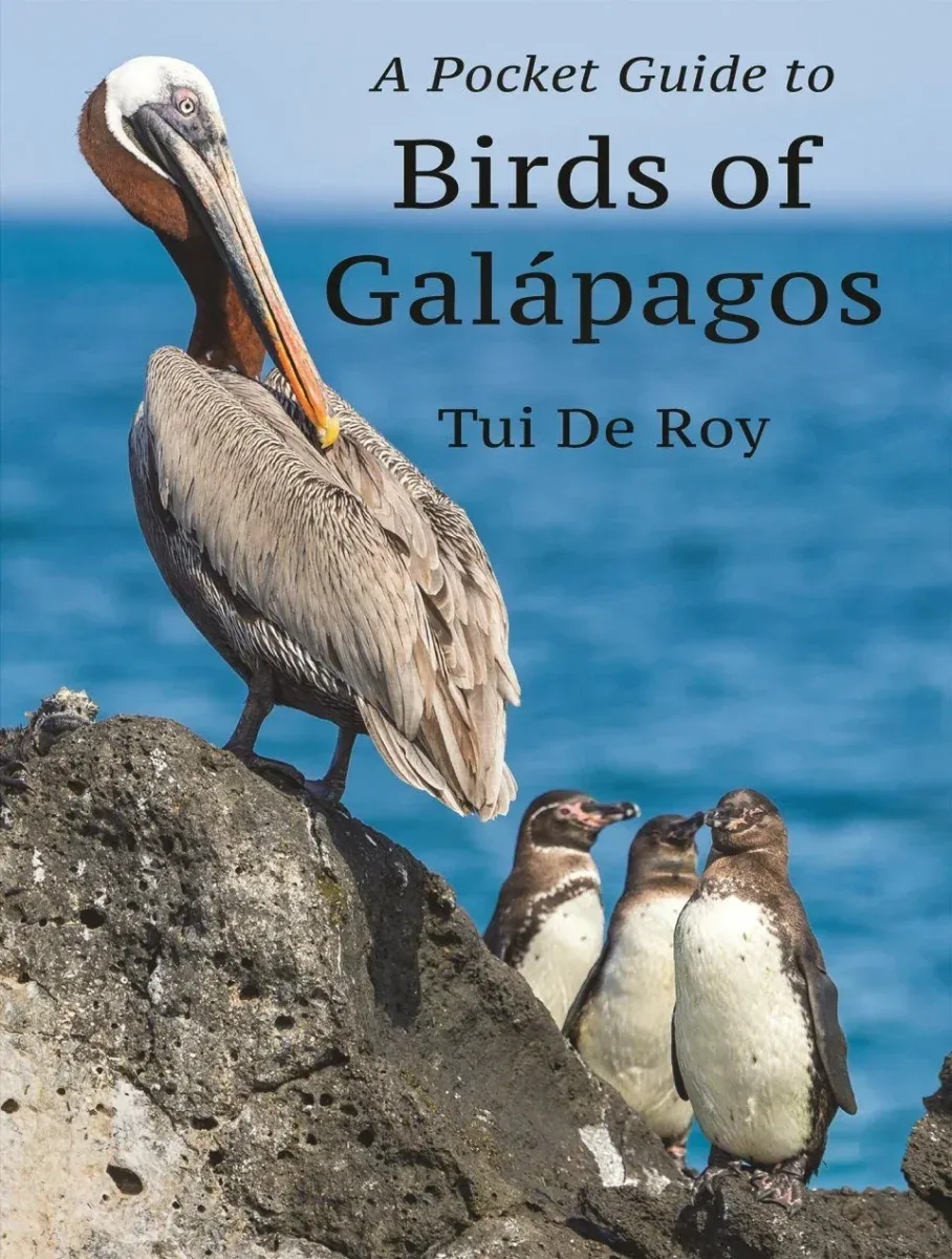 A Pocket Guide to Birds of Galapagos – De Roy 2022