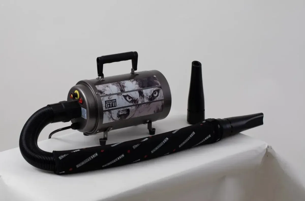 AEOLUS NEW MONSTER 2800W, Silver