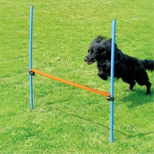 Agility este 116cm kork