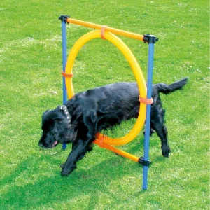Agility rengas