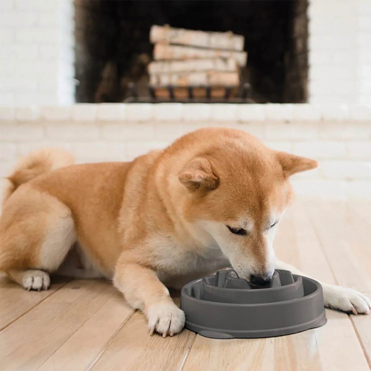 Ahmimisenestokuppi Outward Hound Drop M
