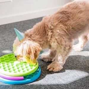 Aktivointilelu Nina Ottosson Lickin’ Layers Food Puzzle