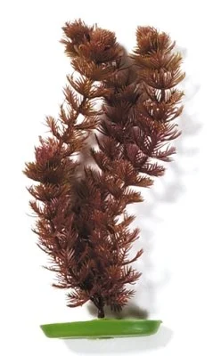 Akvaarion muovikasvi Ärviä (Foxtail) 30cm - Image 2
