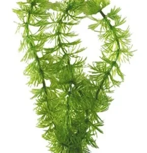 Akvaarion muovikasvi Karvalehti (Hornwort) 30cm