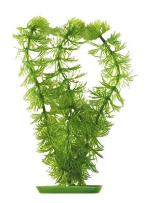 Akvaarion muovikasvi Karvalehti (Hornwort) 30cm - Image 2