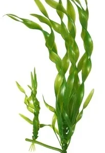 Akvaarion muovikasvi Kierteisvallisneria 20cm