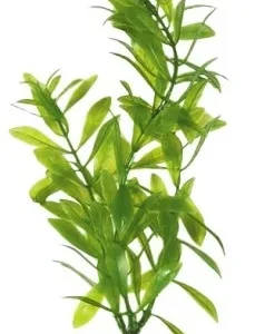 Akvaarion muovikasvi Vesitähdikki (Hygrophila) 30cm