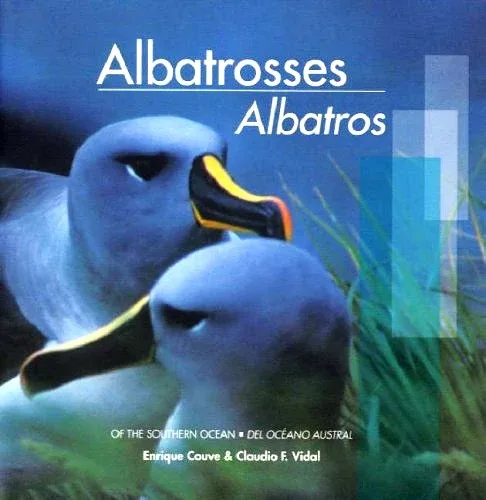 Albatrosses – Enrique Couve 2005
