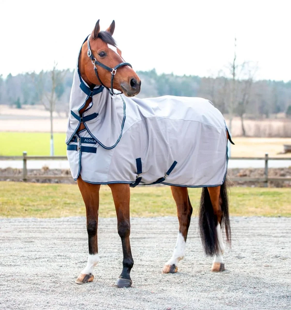 Aloga Fly Dry Sheet (sadeselkäosa)