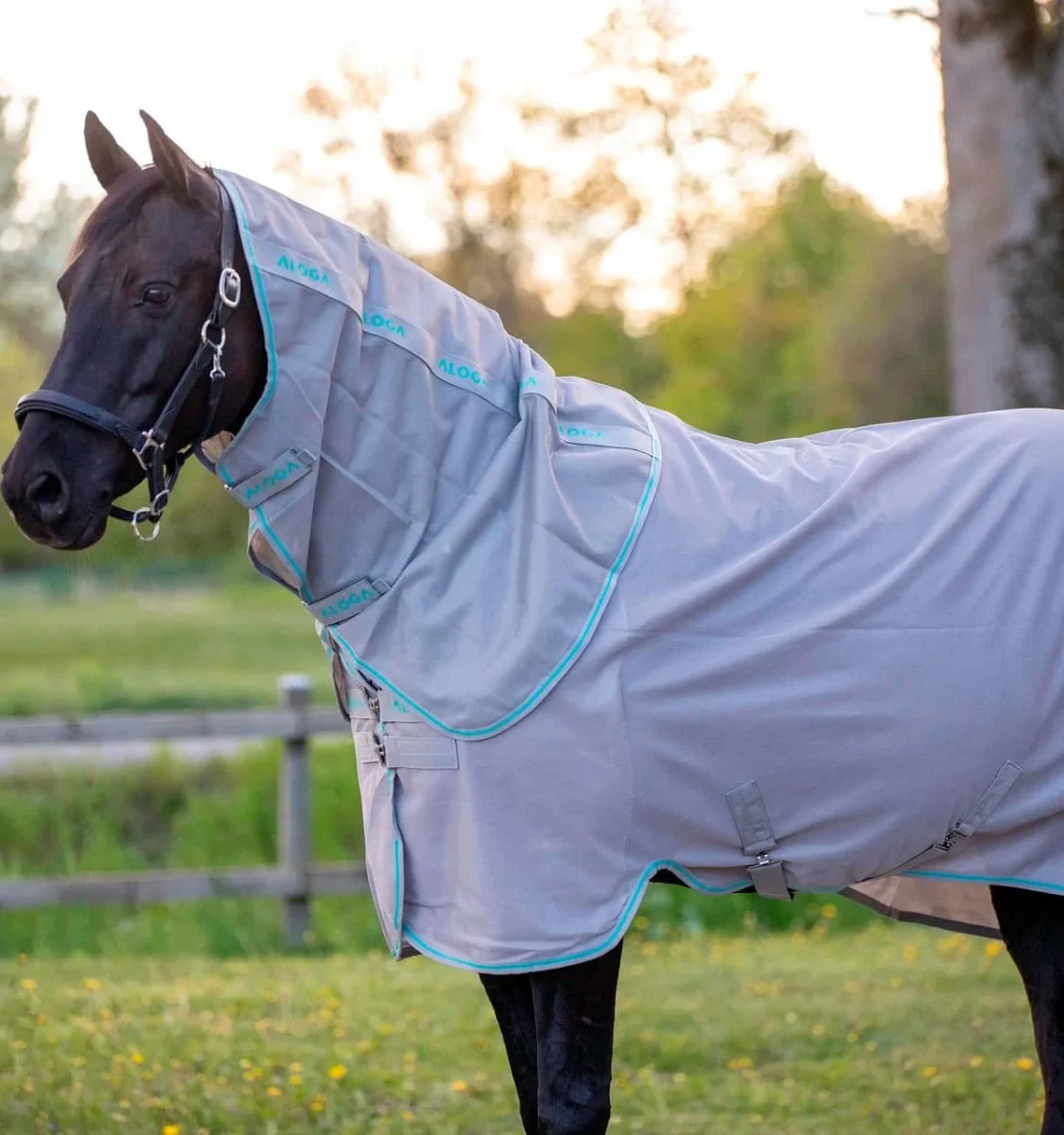 Aloga Fly Sheet - Image 2