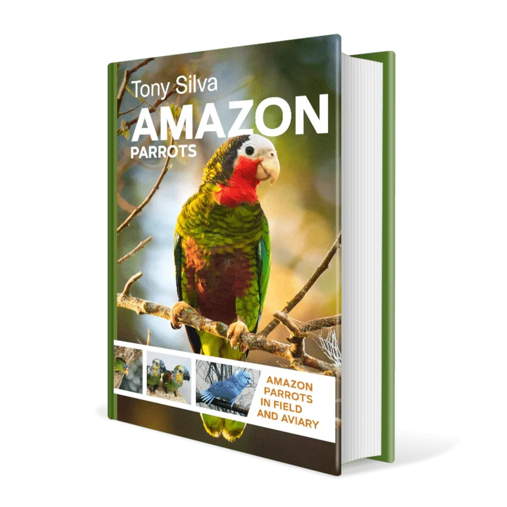 Amazon Parrots – Silva,T. 2022