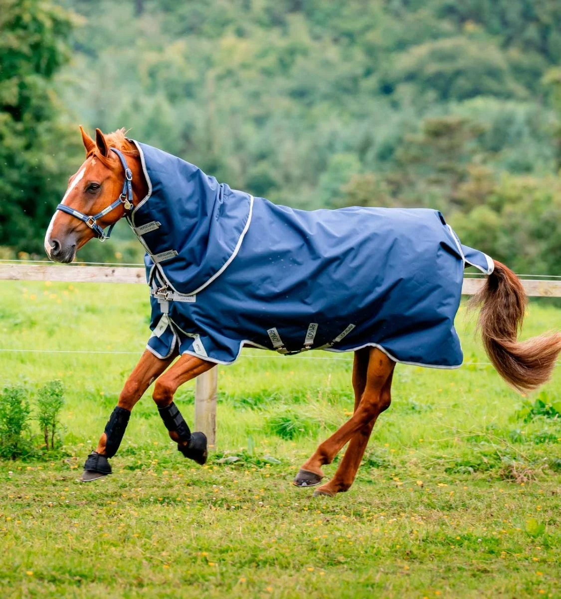 Amigo 1200D Plus Turnout 50g Navy - Image 2