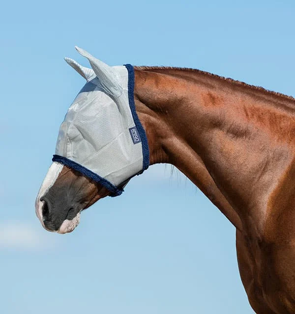 Amigo Flymask