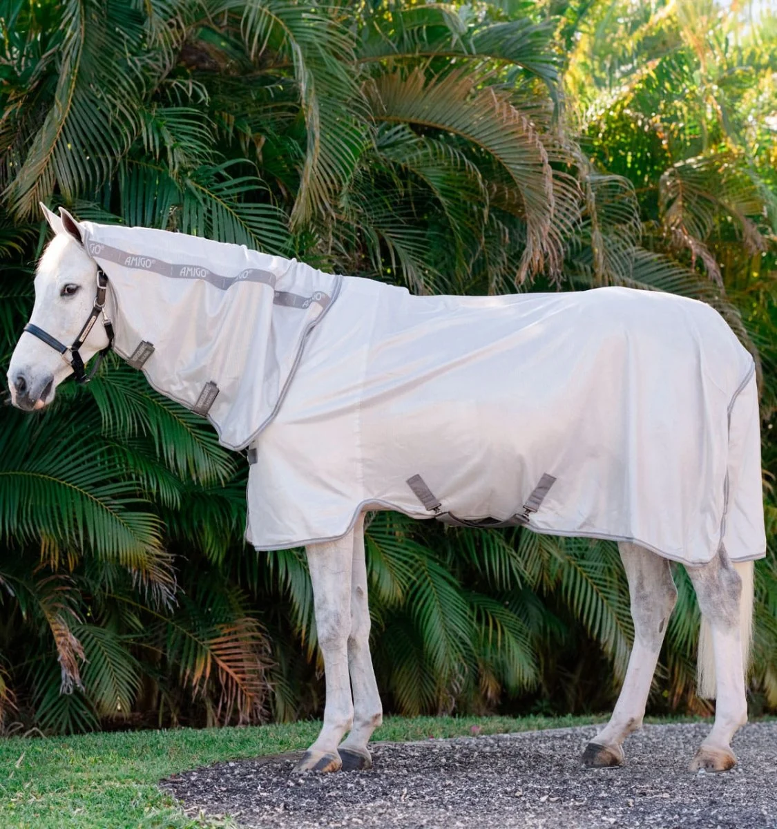 Amigo integrated fly sheet - Image 2