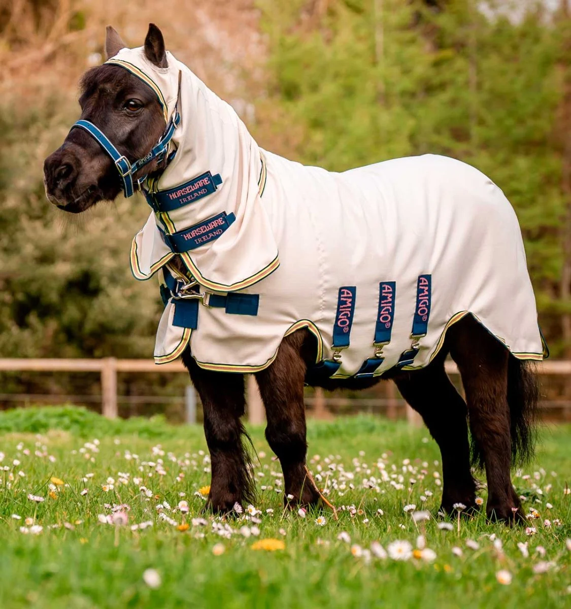 Amigo Petite Ripstop Hoody