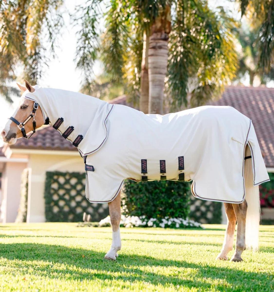 Amigo Ripstop Hoody Pony - Image 2
