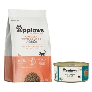 Applaws-yhteispakkaus: kuiva- ja märkäruoka säästöhintaan! 2 kg Adult Chicken & Salmon + 6 x 70 g merikala