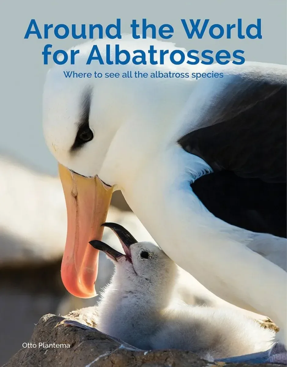 Around the World for Albatrosses: Where to See All the Albatross Species – Otto Plantema 2019