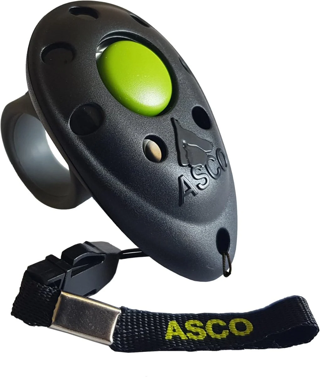 Asco naksutin