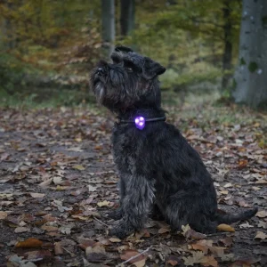 Basic vilkkuvalo LED Liila