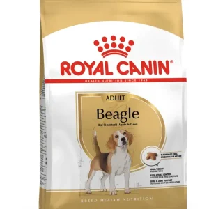 Beagle Adult Koiran kuivaruoka 12kg
