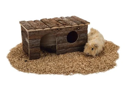 Beeztees Pieneläimen talo Forest Rodent Fun 40x23x20 cm