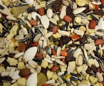 Bello Siemensekoitus+Hedelmä Papukaijoille 15kg