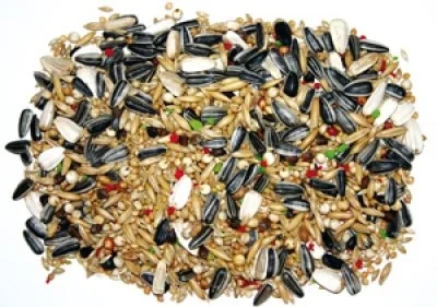 Bello Siemensekoitus+V Parakiiteille 5kg