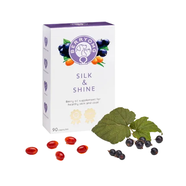 BerryOMG Silk & Shine öljykapselit, 90kpl/64g