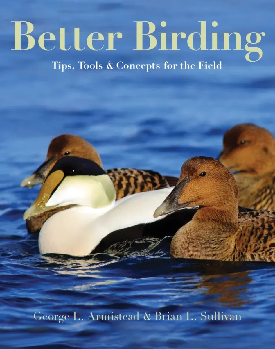 Better Birding – Tips, Tools & Concepts for the field (Armistead)