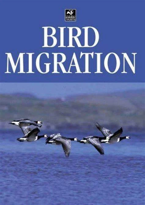Bird Migration -Couzens 2005 - Image 2