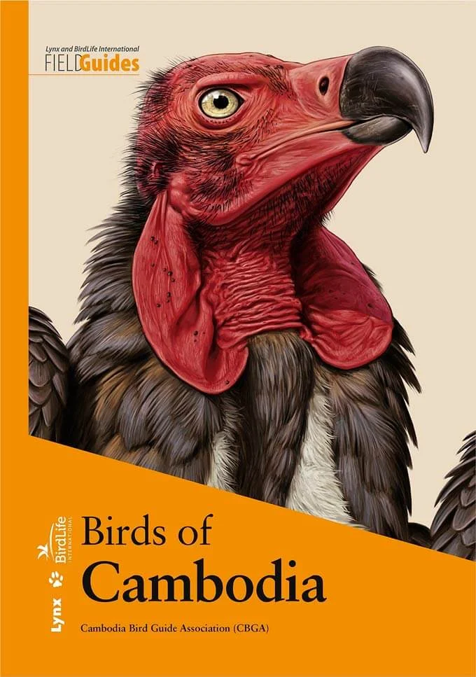 Birds of Cambodia (Cambodia Bird Guide Association, 2019) Flexi - Image 2
