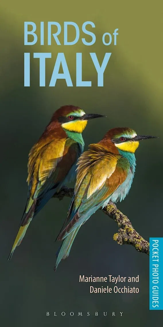 Birds of Italy – pocket photo guide (Taylor) 2018