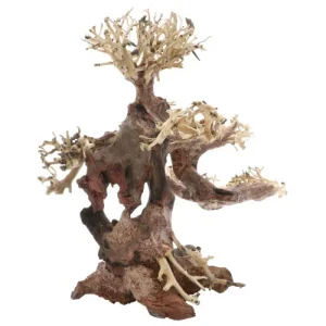 Bonsai akvaariokoriste M