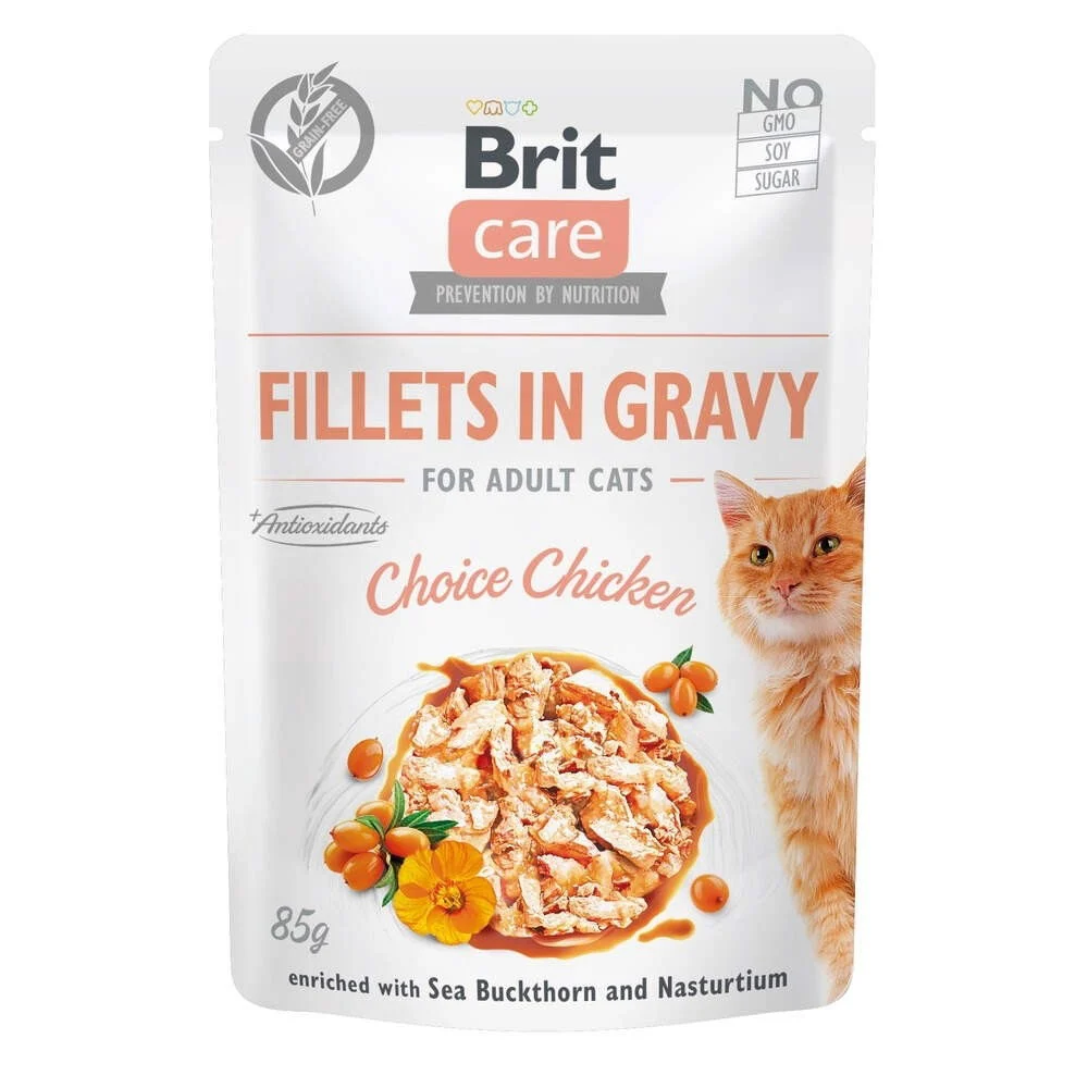Brit Care Gravy kanafilee kastikkeessa 85 g