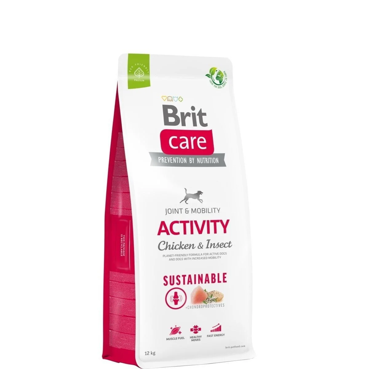 Brit Care Sustainable Activity
