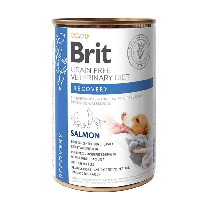 Brit GF Vet Diet Dog-Cat Can Recovery 6×400 g - Image 2