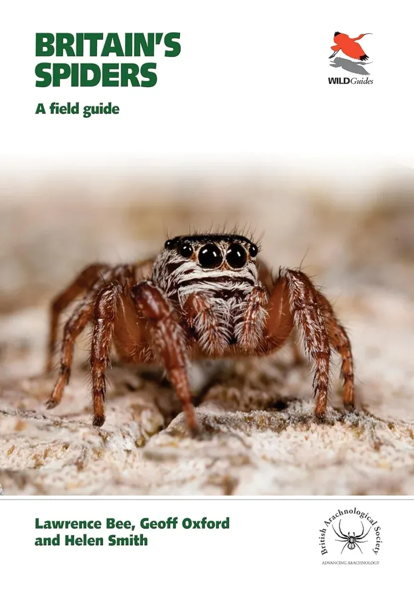 Britain`s Spiders – A Field Guide – Lawrence Bee 2017