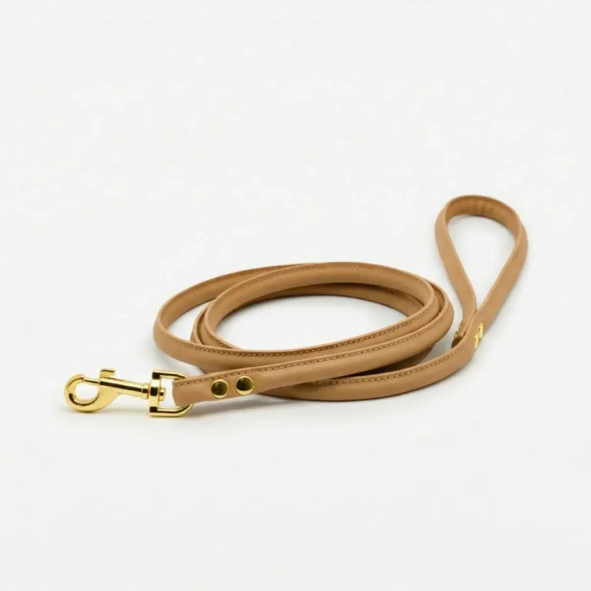 Brown Dog Lead